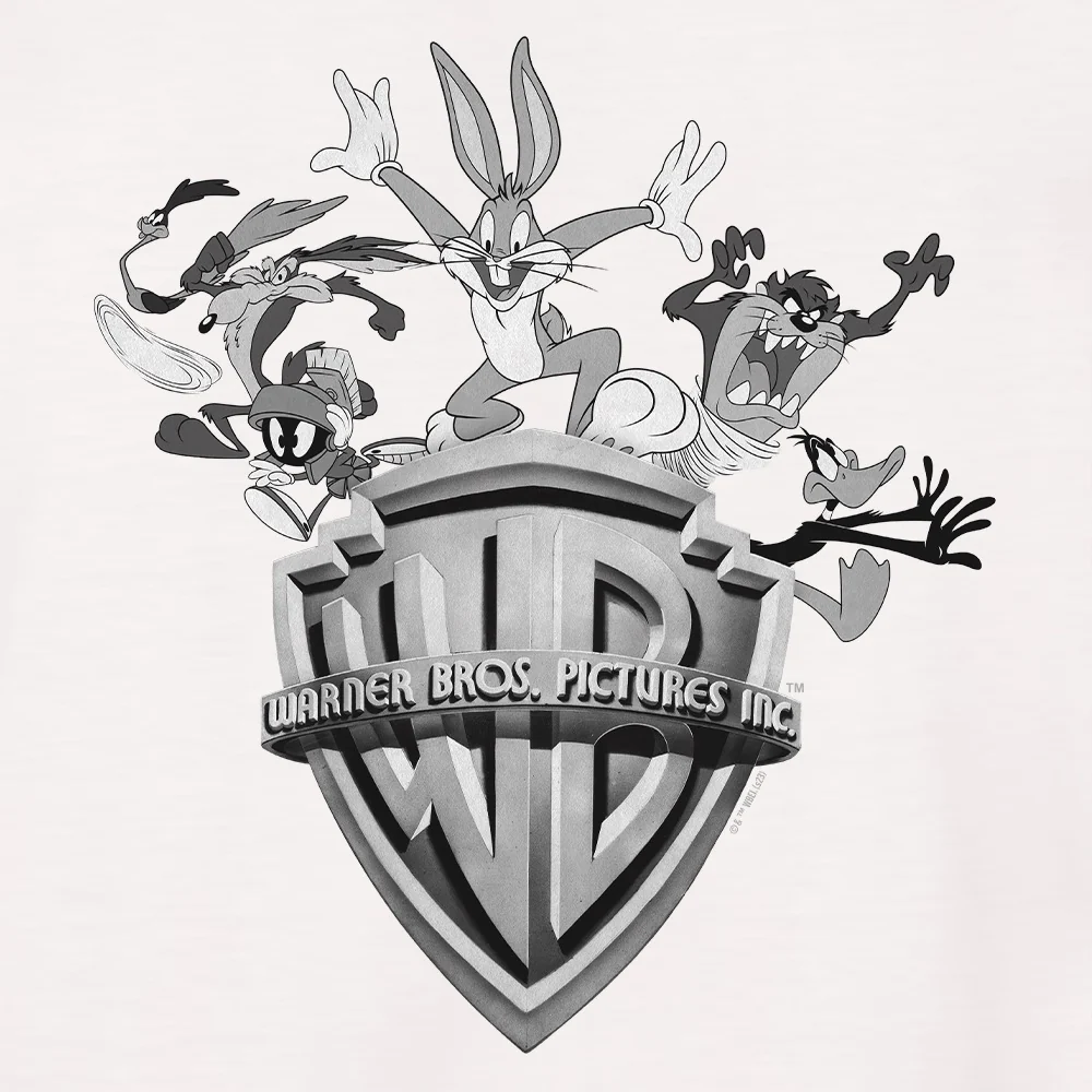 WB 100 Warner Bros Shield Looney Tunes Raglan Shirt - Image 4